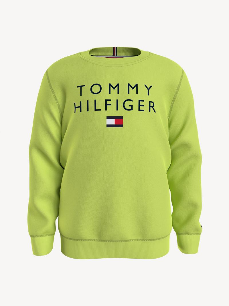 Fiú Tommy Hilfiger Tommy Pulóver Zöld | HU 2223BEX